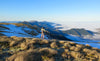 Evening up the Mt Arthur range, Kahurangi National Park, New Zealand.