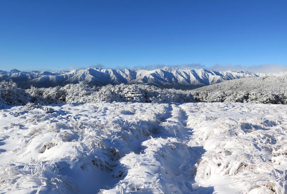 First weekend of winter. A night out in the fresh snow.